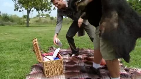 Tosh.0 - [04x13] - Pepper Spray Neutralizer