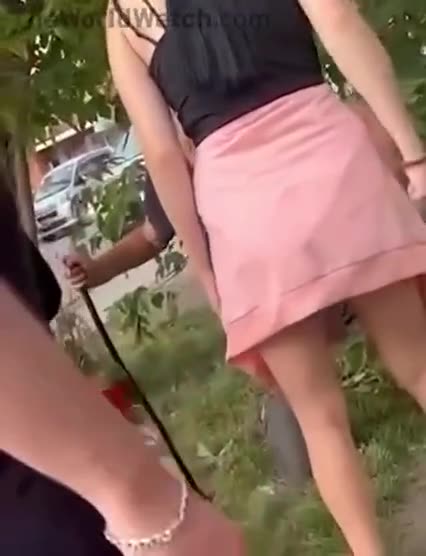 SCHOOLGIRLS BTFO 🥊🤕 CAUGHT PEEPING DISABLED TOM