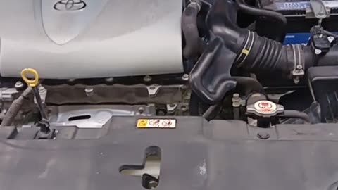 Yaris Noise Problem