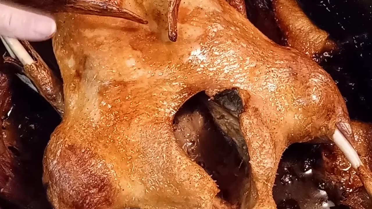 Duck