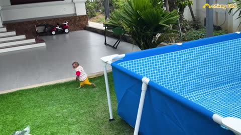 BiBi is excited and can't wait to experience the new swimming pool!
