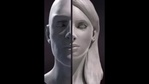 😵‍💫Grundlagen🤪 der 🤡Transvestigation 🤡