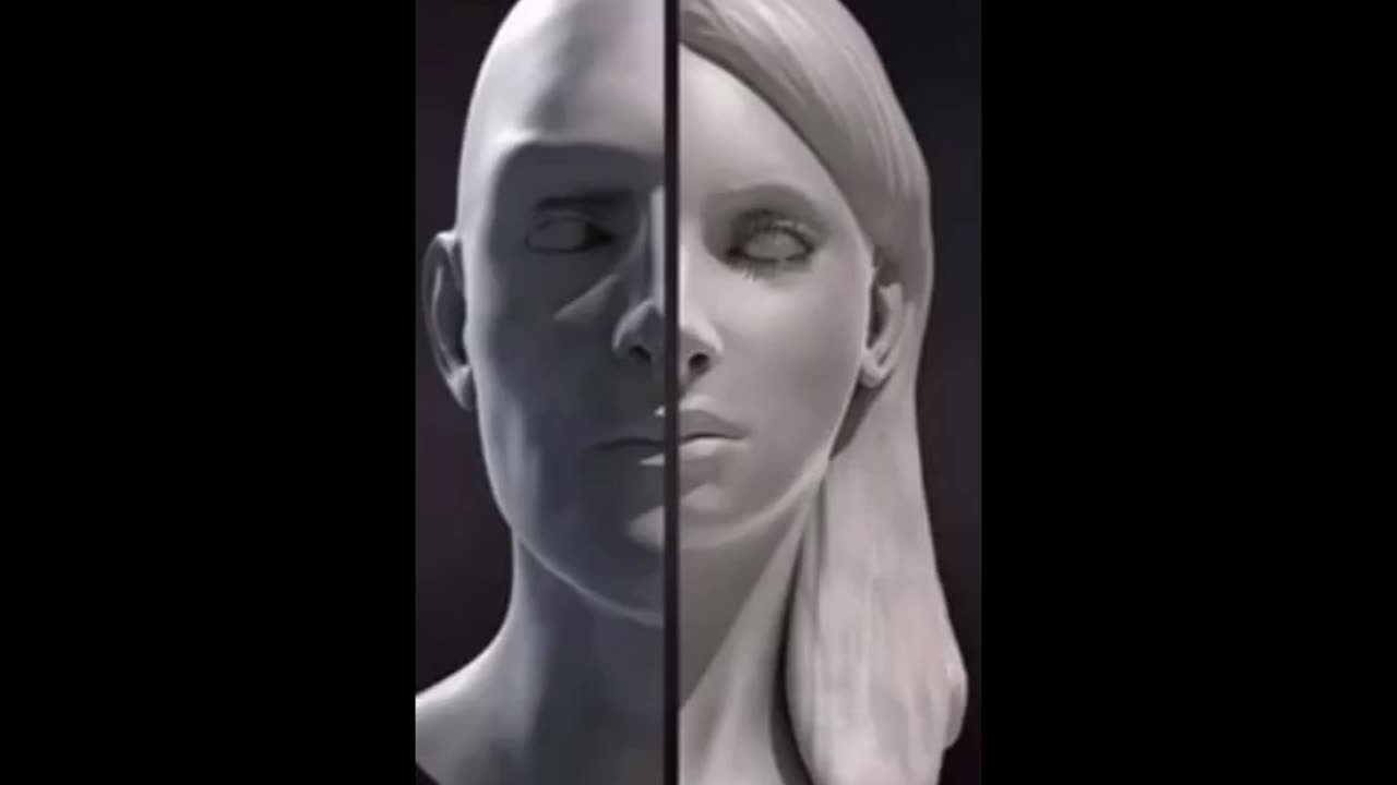 😵‍💫Grundlagen🤪 der 🤡Transvestigation 🤡