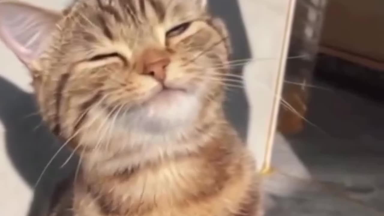 😘 ☝️En 😊#Ellos😸 🤔#No 😜#Hay 🤪#Mentiras, 🫰#Solo 🫶🏼#Amor 😍 #Verdadero❗.