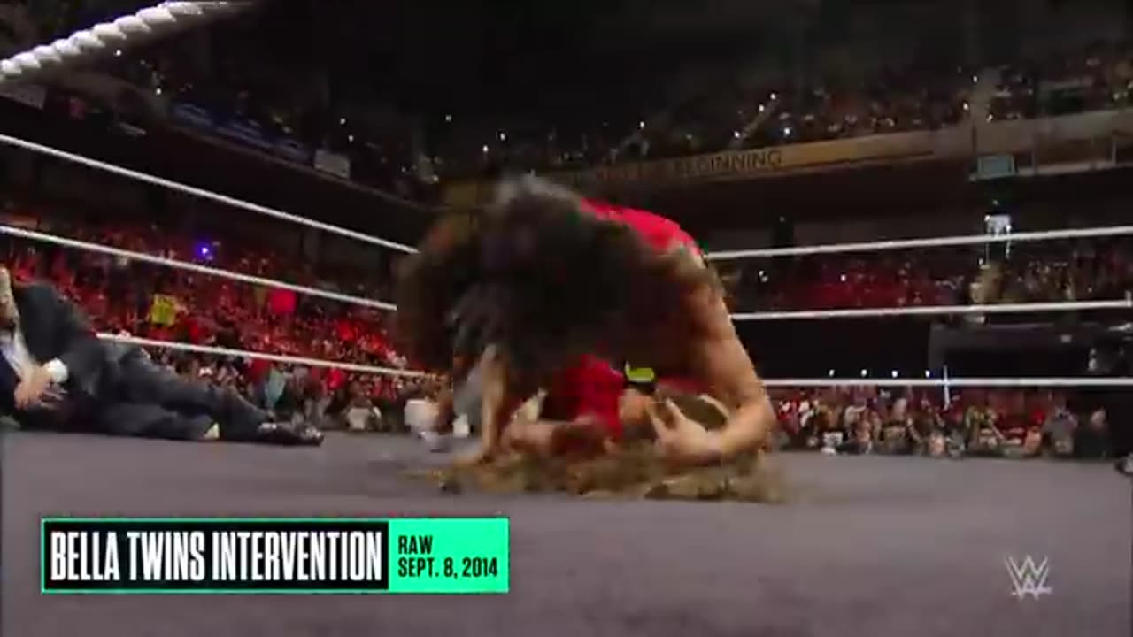 Full rivalry – Brie Bella vs. Nikki Bella