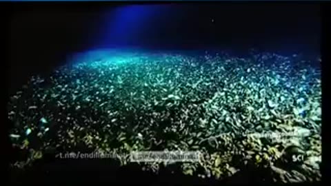 Killed Off because he Filmed Under Water Firmament