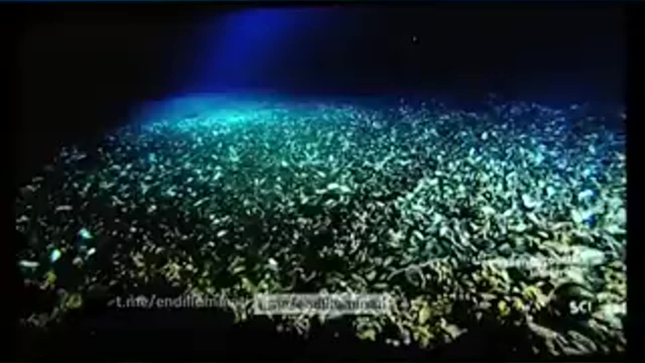 Killed Off because he Filmed Under Water Firmament