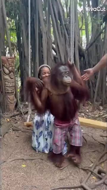 This guy having the best time of his life.