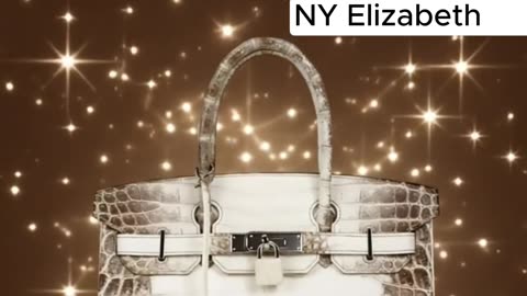 HERMÈS BIRKIN 30 HIMALAYA HANDBAG