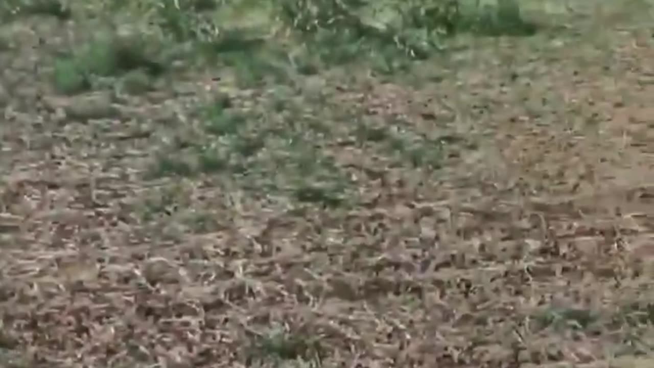 Qualcuno ha filmato accidentalmente il momento in cui l'aereo si è schiantato in precedenza