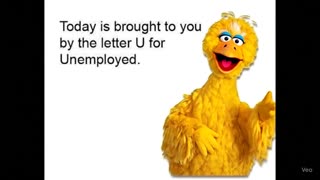 😂🐦 Big Bird's SHOCKING Firing! | FunFM