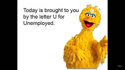 😂🐦 Big Bird's SHOCKING Firing! | FunFM