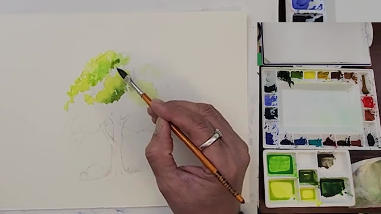 How to paint a lush green tree in watercolour. Beginner Tutorials.