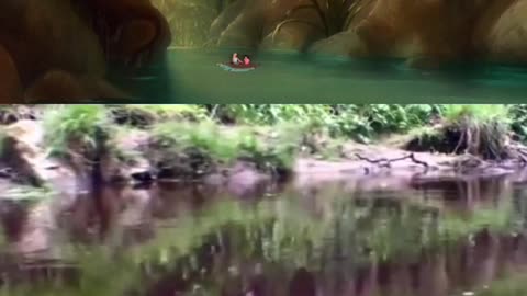 Fern Gully vs. Real rainforest