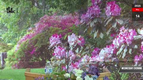14 May 2025 Wednesday Evening Service