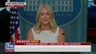 Karoline Leavitt just bitch slapped the fake news to their faces