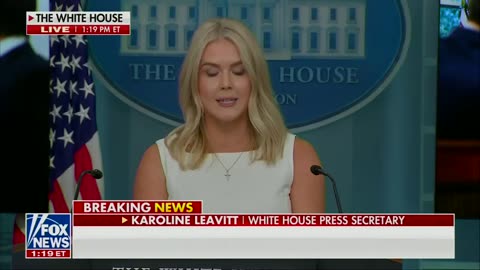 Karoline Leavitt just bitch slapped the fake news to their faces