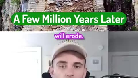 If Every Human Disappeared