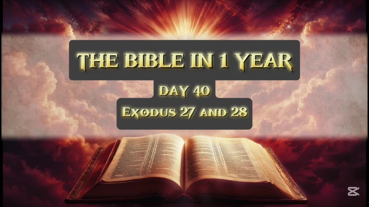 Day 40 of 365 (THE WHOLE BIBLE)