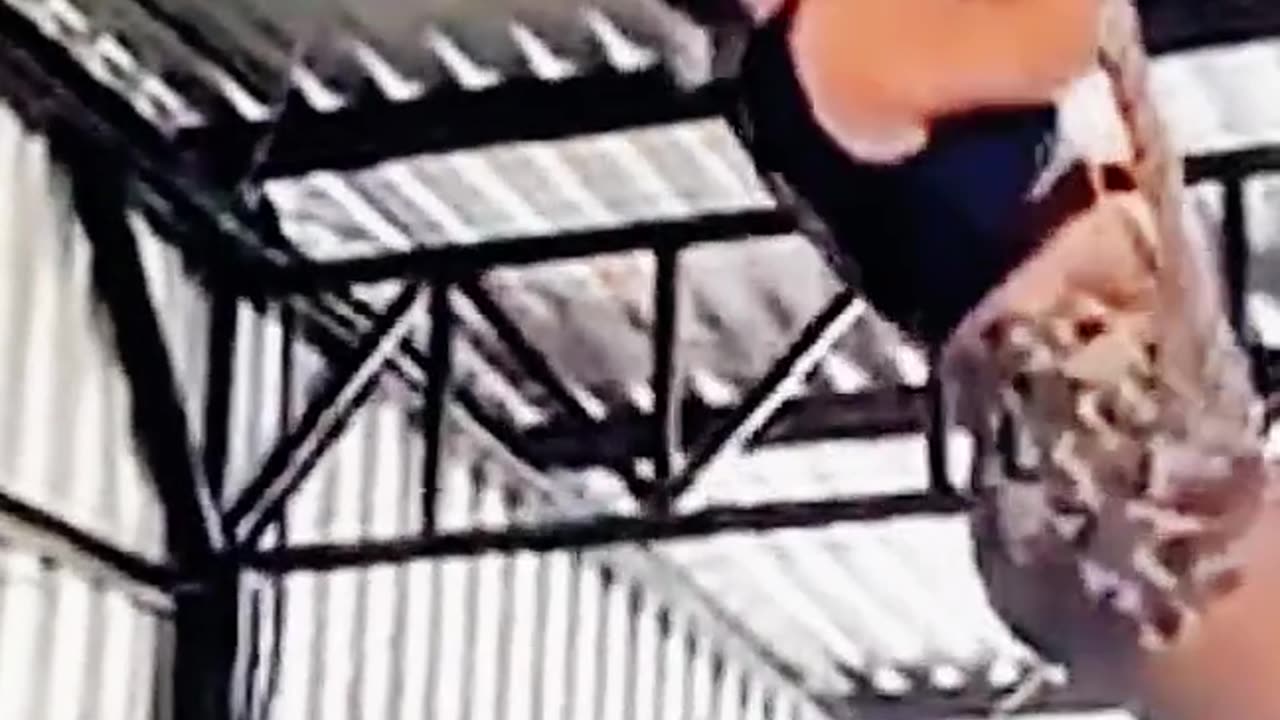 Go Break an Arm