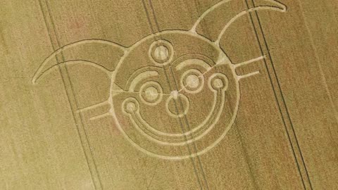Crop Circle de Jester près de Stonehenge 10 06 2025
