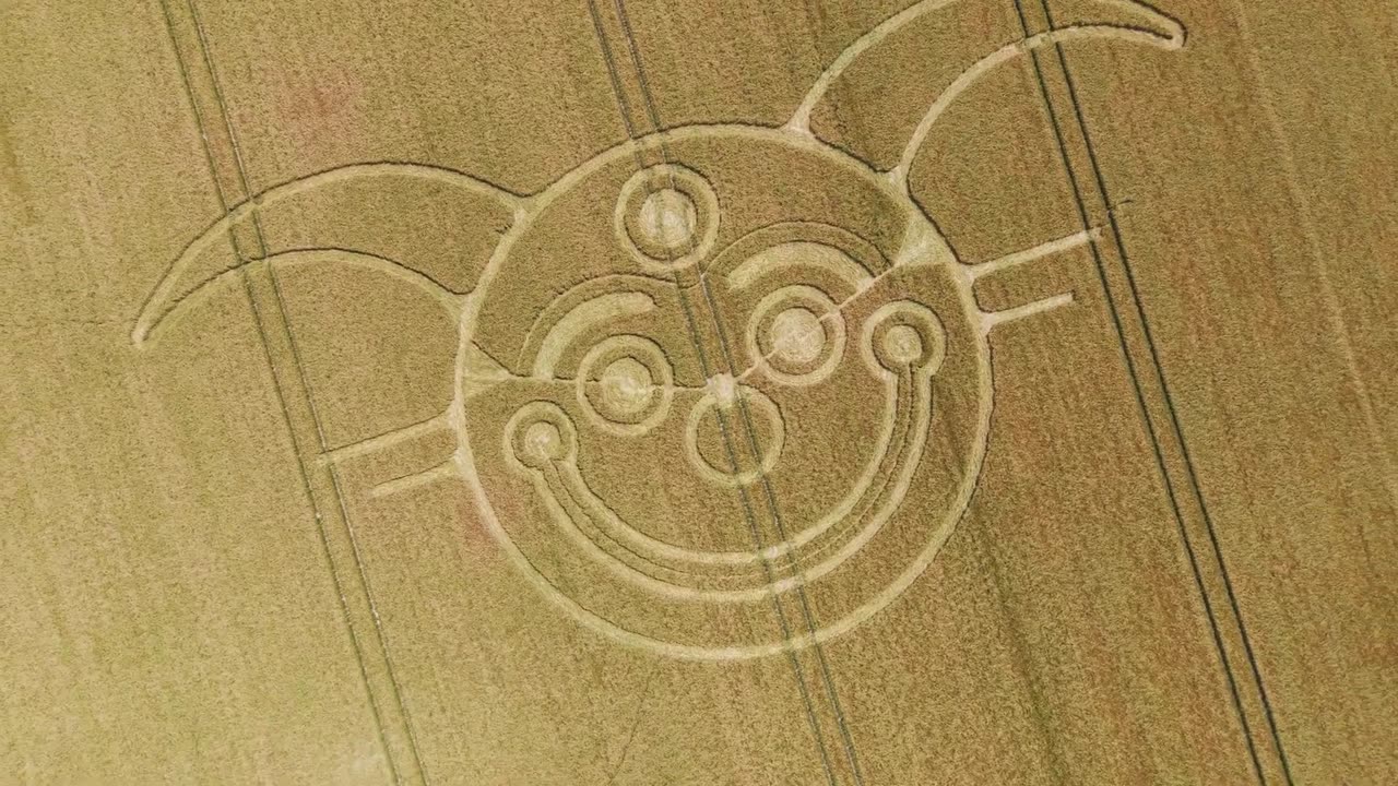 Crop Circle de Jester près de Stonehenge 10 06 2025