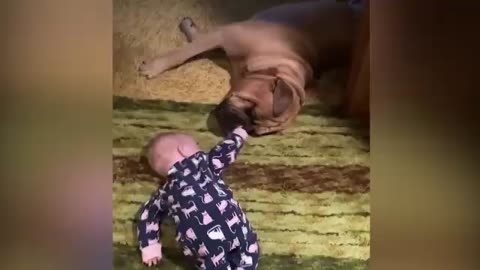 Funniest Baby Videos of the Week - Try Not To Laugh