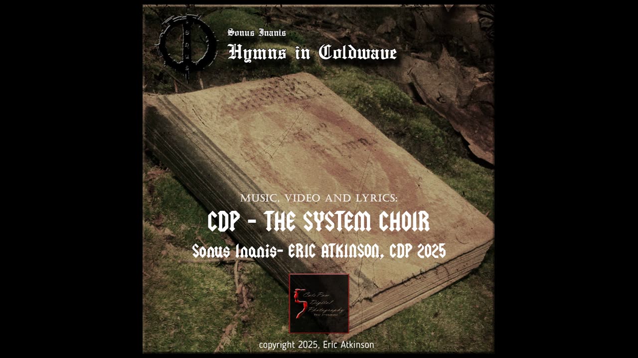 Hymns in Coldwave 11: The Ground Where You Must Lie