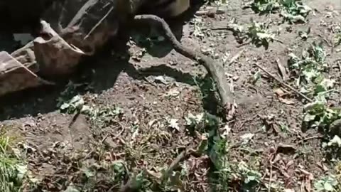 Ukraine war combat footage 9/2/25