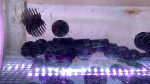 Water Filter for Fish Tanks