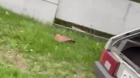 I'm Sure He'll Be Fine...