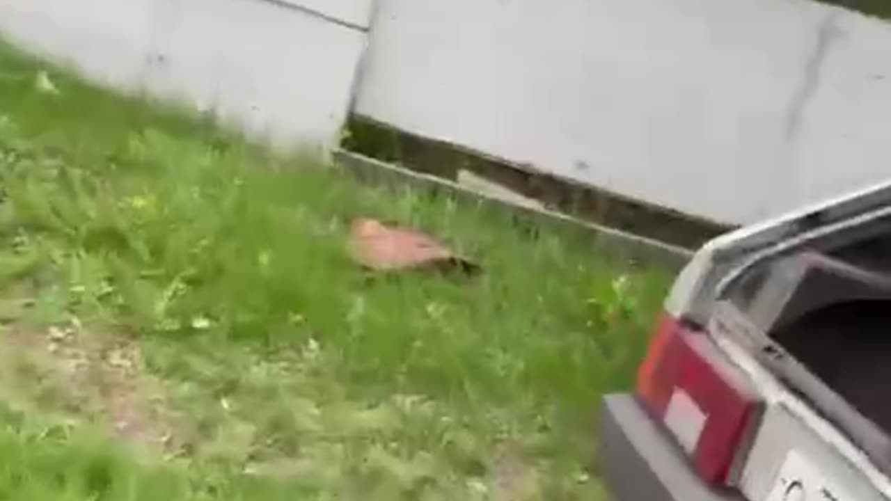 I'm Sure He'll Be Fine...