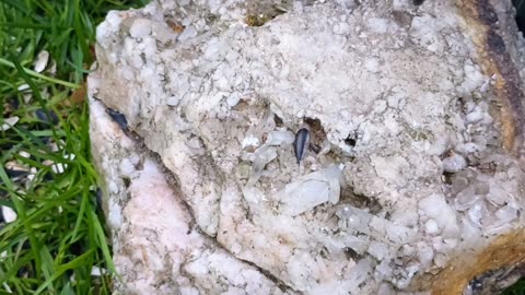 Quartz Rock