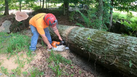 Storm Cleanup DIY Removing a Fallen Log by Myself