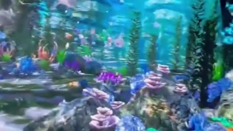 Transparent LED displays turn ordinary windows into immersive experiences