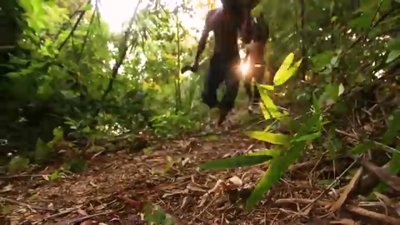 Interesting video for kids 😀