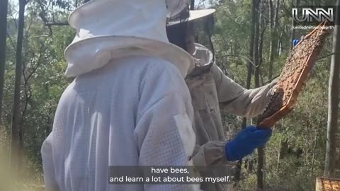 Restoring nature, one bee at a time! Scenic Rim Beekeeping in Tamborine, QLD, leads the way. 🐝🌏