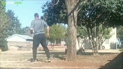 puffADA vs Tree - round 1 - live mma training