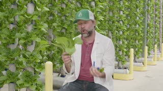 From Seed to Shelf | Spill the GreensFrom Seed to Shelf | Spill the Greens