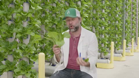 From Seed to Shelf | Spill the GreensFrom Seed to Shelf | Spill the Greens
