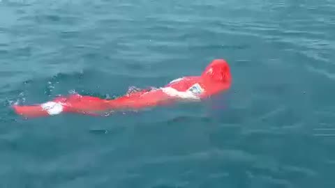 Il nage enfermé dans un sac