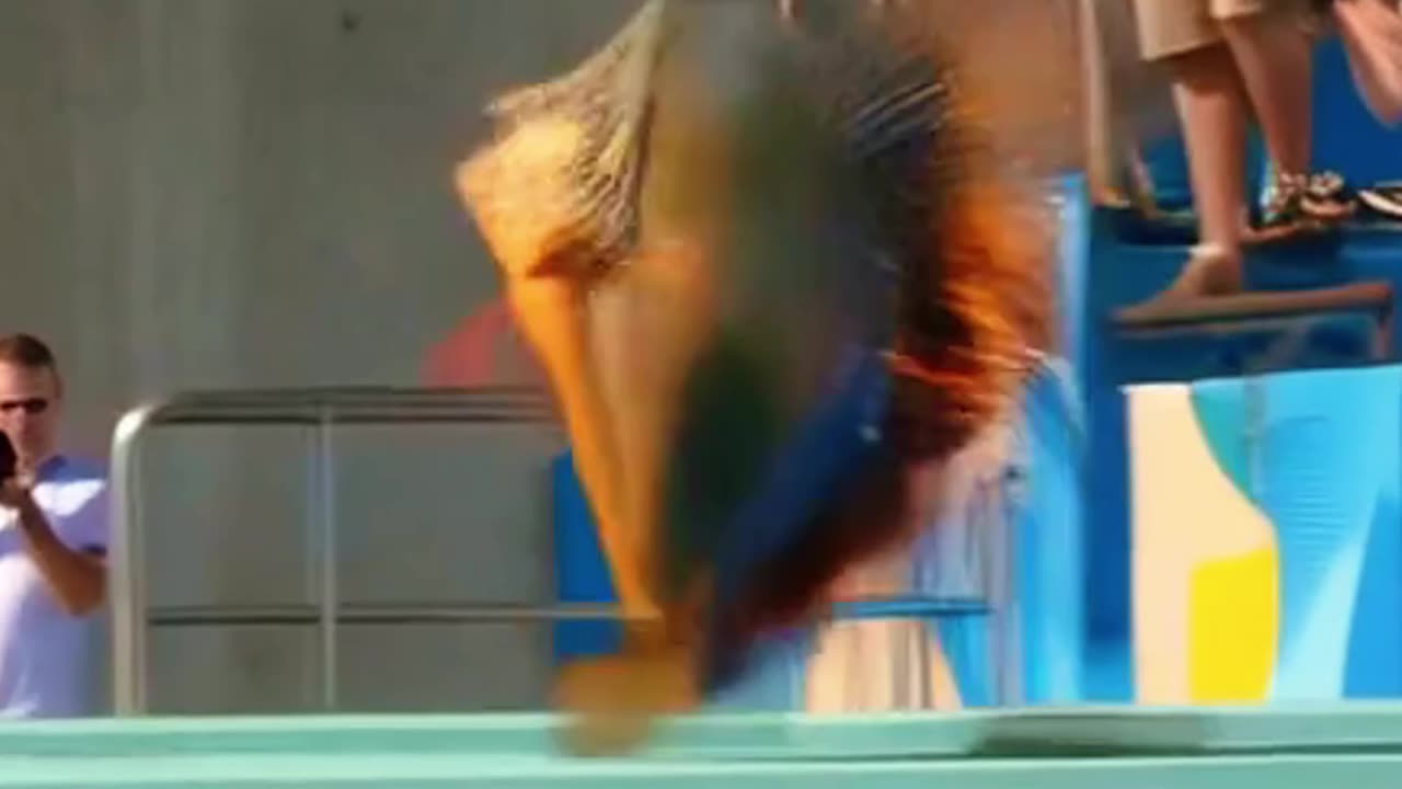 Which Fish Wins the Gold Medal?