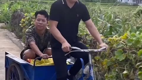 Try Not to laugh 😂 challenge