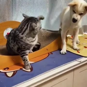 Present day’s geopolitical situation