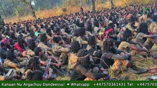 Gabaasa Tarkaanfii ONM-ABO Sadaasa 19-2025 itti dhiyaadhaa!