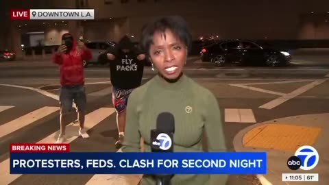 ABC 7 Los Angeles Reporter Describes Riots As 'Mostly Peaceful'