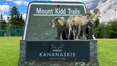 MOUNTAINS CALLING ☎️ KANANASKIS #g7 #kananaskis #mountains #walkabouts #don @thevannut