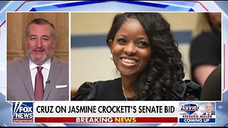 Sen Ted Cruz: Democrats Want More Crazy!