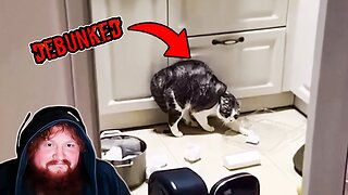 Nothing Stops CaseOh From Debunking Scary Videos