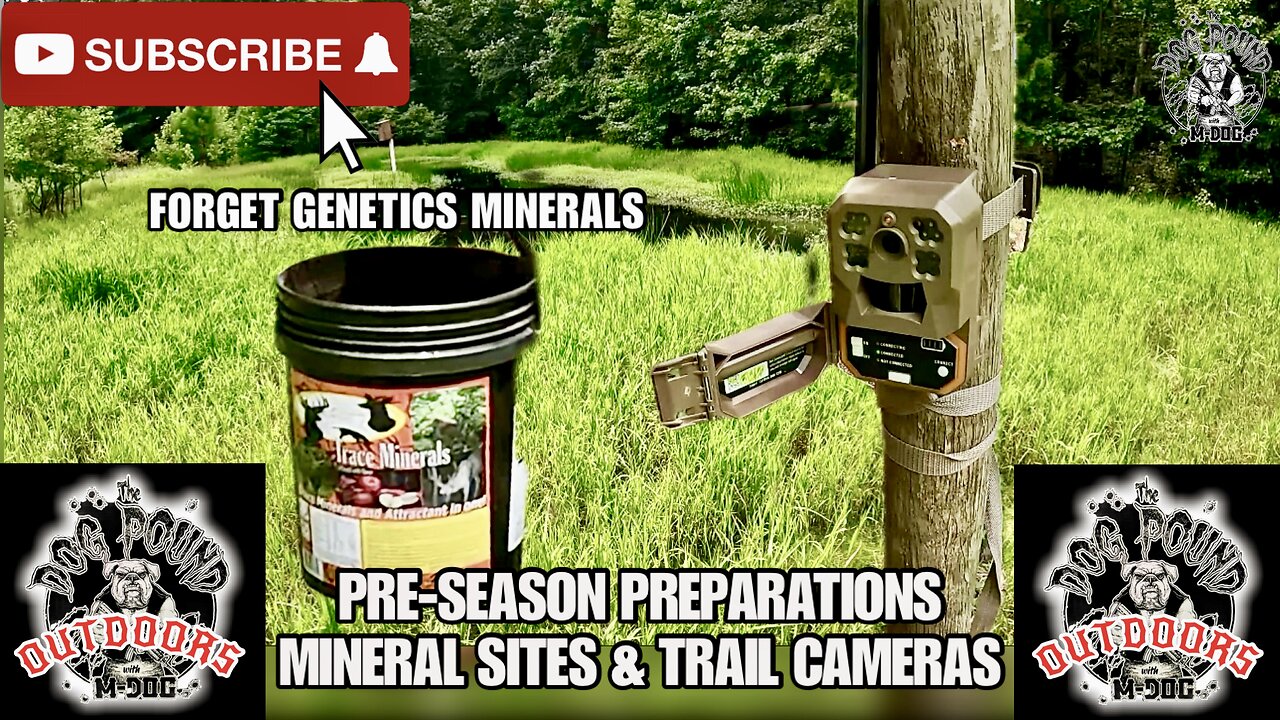 TRAIL CAMERA PLACEMENT AND MINERAL SITES! FORGET GENETICS TRACE MINERALS FOR A BETTER DEER HERD!